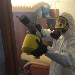 Уничтожение клопов в квартире. Чистоозёрное